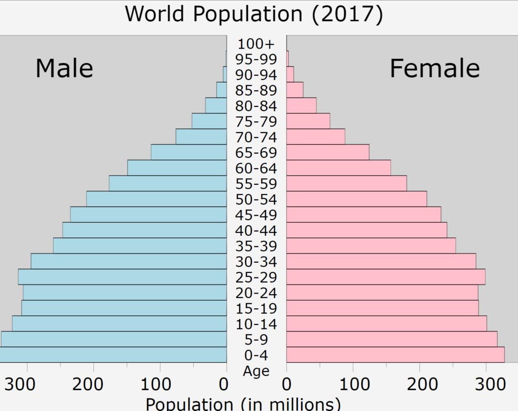 人口転換と人口ピラミッド 日本 世界の人口ピラミッドはどんな形 地理情報サイト