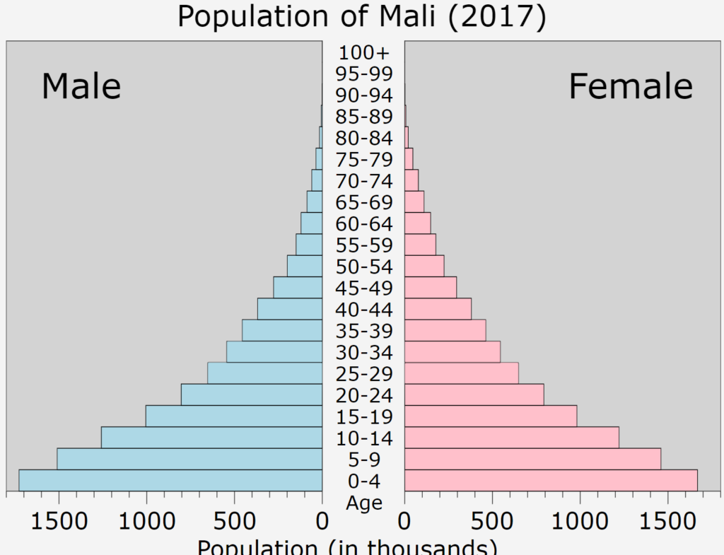 人口転換と人口ピラミッド 日本 世界の人口ピラミッドはどんな形 地理情報サイト