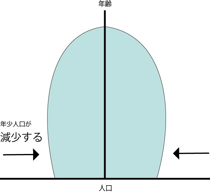 地理 人口ピラミッドの形の種類はこれ 富士山型 ピラミッド型 つりかね型 つぼ型 星形 ひょうたん型 日本はどんな形 地理情報サイト