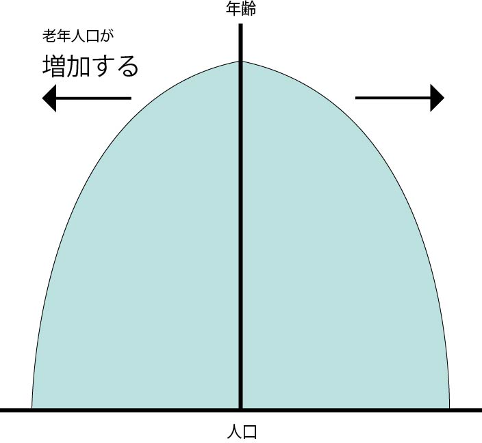 地理 人口ピラミッドの形の種類はこれ 富士山型 ピラミッド型 つりかね型 つぼ型 星形 ひょうたん型 日本はどんな形 地理情報サイト