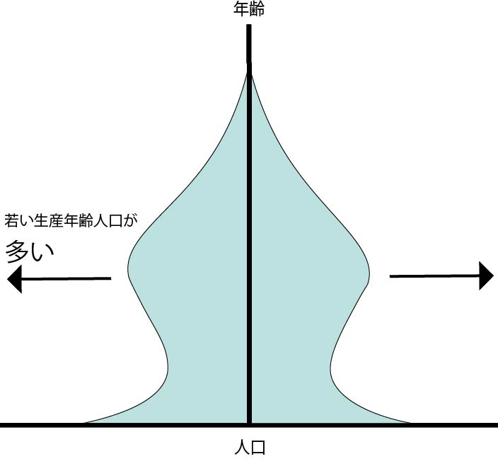 地理 人口ピラミッドの形の種類はこれ 富士山型 ピラミッド型 つりかね型 つぼ型 星形 ひょうたん型 日本はどんな形 地理情報サイト