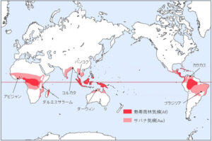 サバナ気候(Aw)の特徴をわかりやすく解説(都市や植生など) - 地理情報サイト