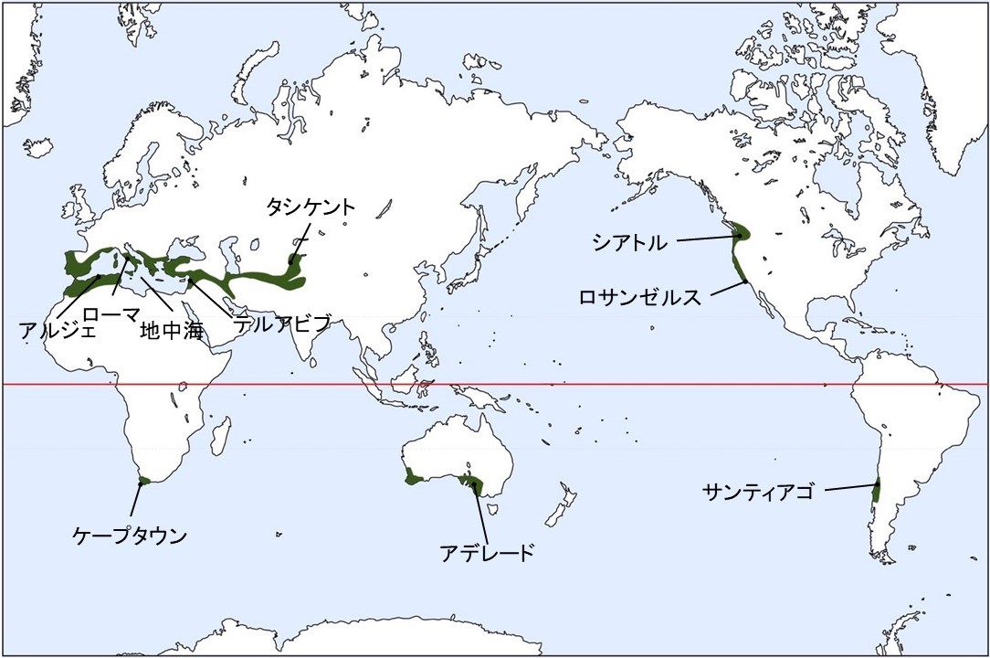 地中海性気候(Cs)の国や植生などの特徴を解説 - 地理情報サイト