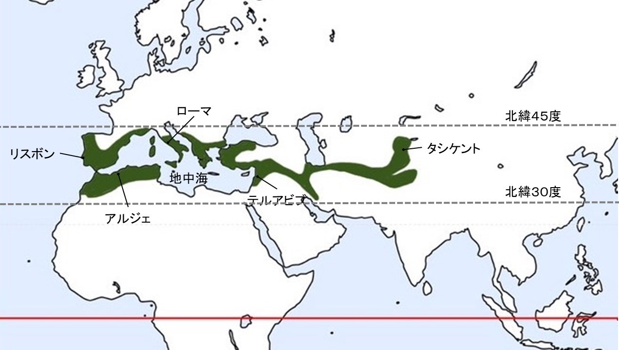 地中海性気候特徴 – 地中海性気候 国一覧 – RFFLMC