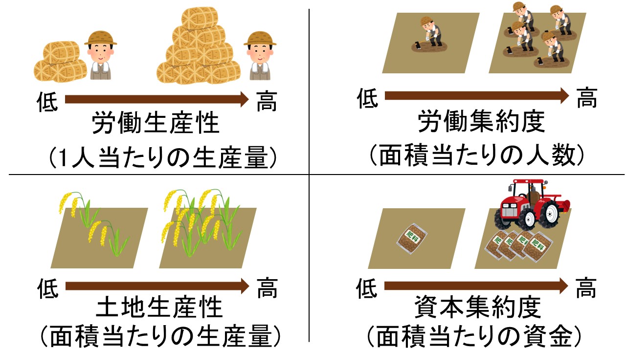 【地理・農業まとめ】成立条件・農業形態・主な作物まで解説 - 地理情報サイト